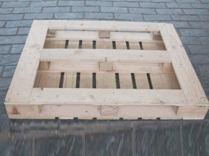 ����Ŵ�鿴